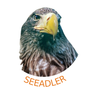 Livecam Seeadler
